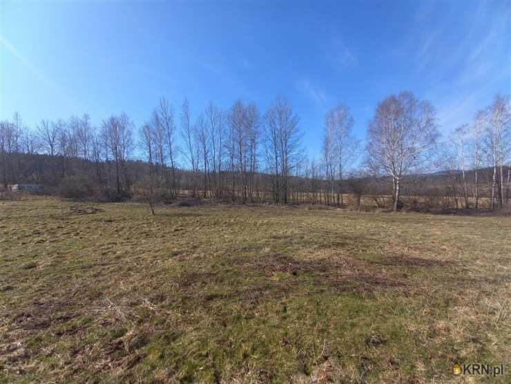 , Działki  na sprzedaż, Sierpnica, ul. 