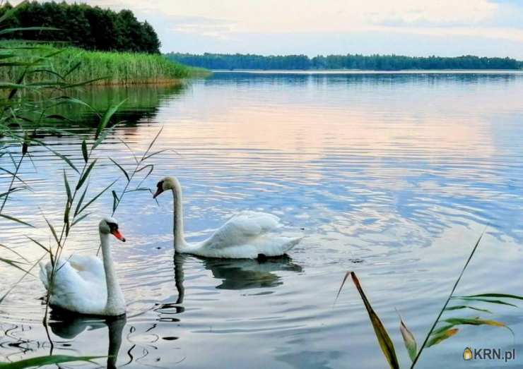 , Leleszki, ul. , Działki  na sprzedaż