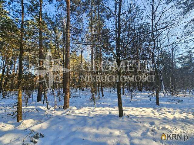 Dąbrowa Chotomowska, ul. Przyleśna, Działki  na sprzedaż, 