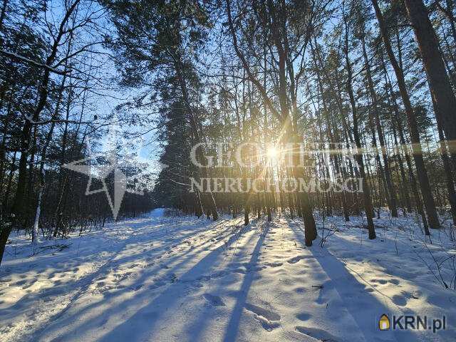 , Dąbrowa Chotomowska, ul. Przyleśna, Działki  na sprzedaż