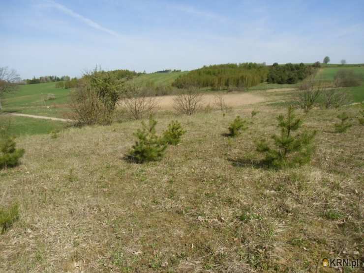 Działki  na sprzedaż, Ustarbowo, ul. , 