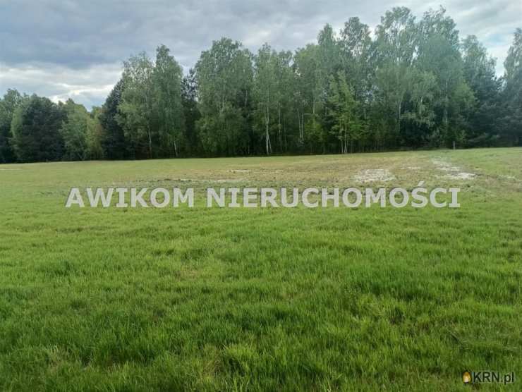 Działki  na sprzedaż, , Radziwiłłów, ul. 