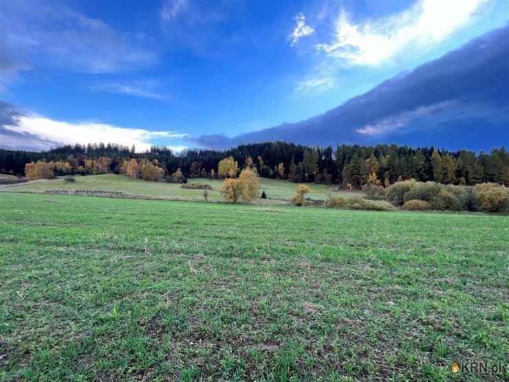 Krzeszów, ul. , Działki  na sprzedaż, 