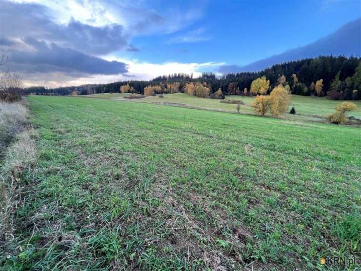 , Działki  na sprzedaż, Krzeszów, ul. 