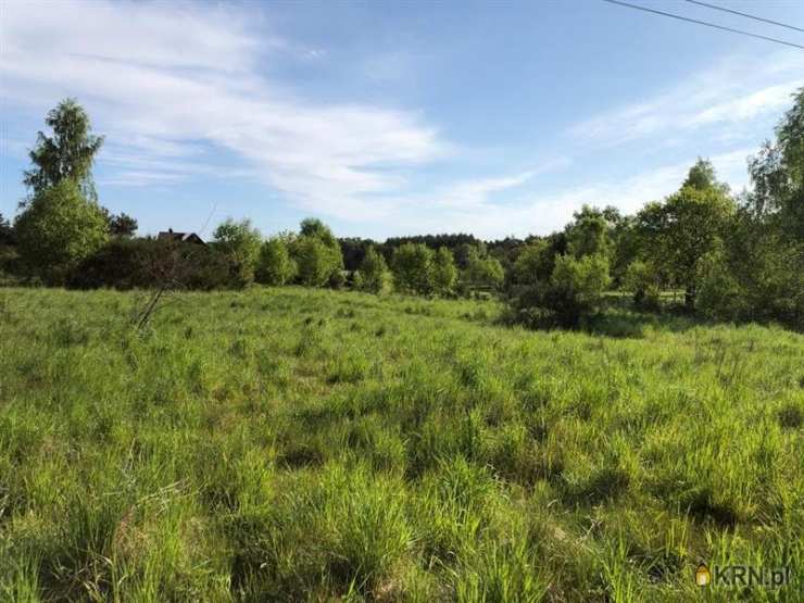 Sasino, ul. , , Działki  na sprzedaż