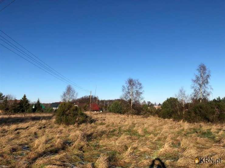 Sasino, ul. , Działki  na sprzedaż, 