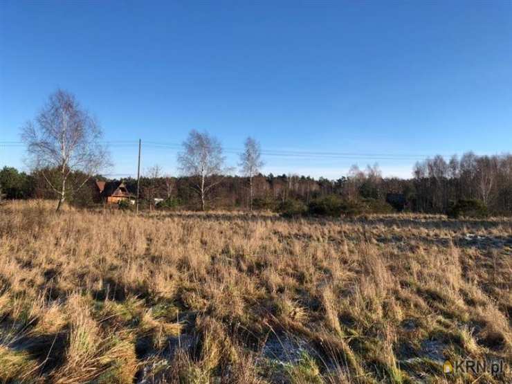 Sasino, ul. , , Działki  na sprzedaż
