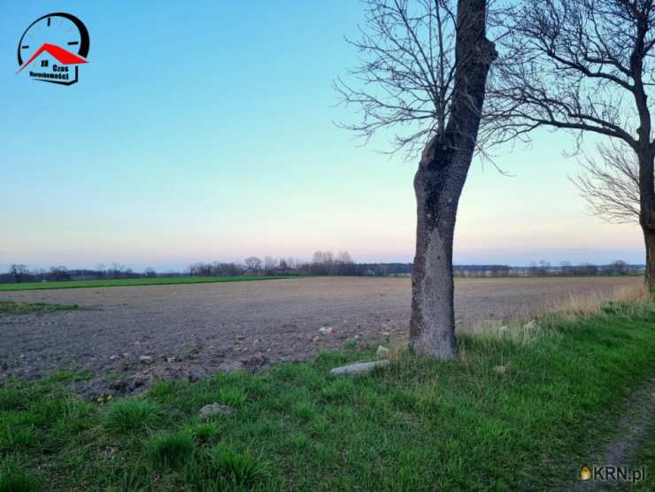 Działki  na sprzedaż, Dzierzążno, ul. , 