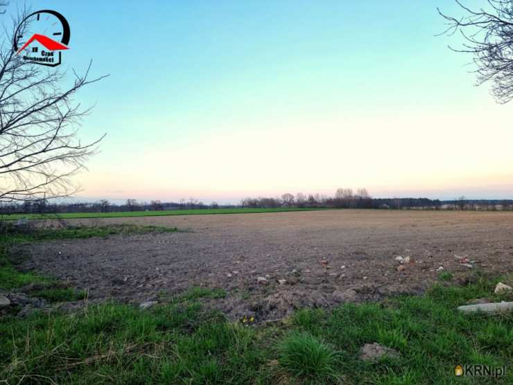 Działki  na sprzedaż, , Dzierzążno, ul. 