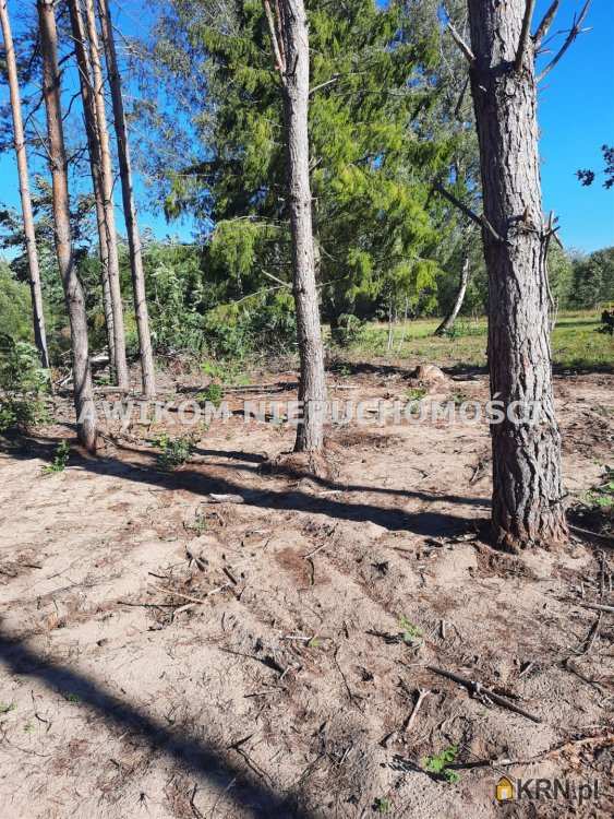 , Działki  na sprzedaż, Kaleń, ul. 