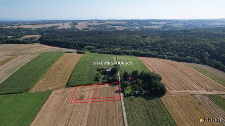 Działki  na sprzedaż, Lesieniec, ul. , 
