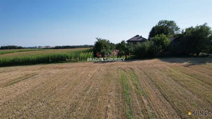 Działki  na sprzedaż, , Lesieniec, ul. 