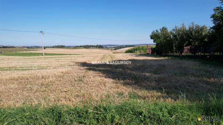 Lesieniec, ul. , Działki  na sprzedaż, 