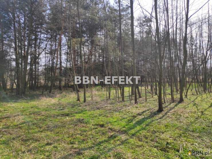 Działki  na sprzedaż, , Dankowice, ul. 