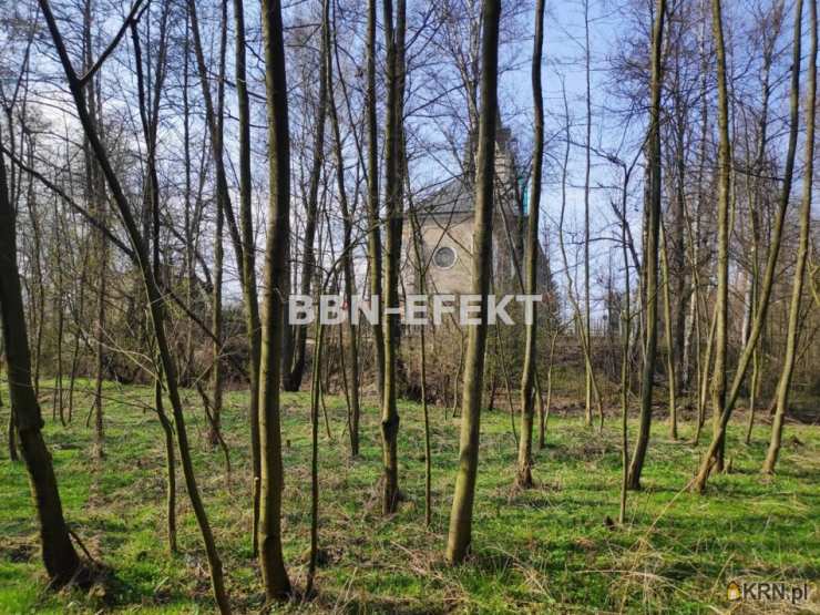 Dankowice, ul. , Działki  na sprzedaż, 