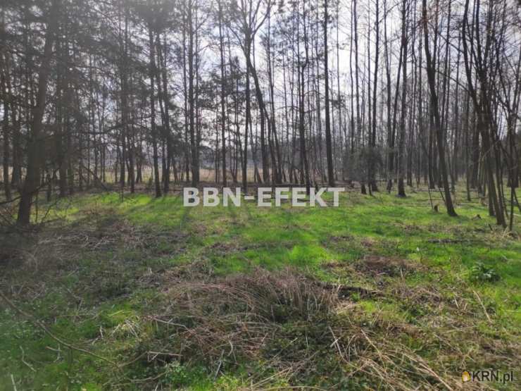 , Dankowice, ul. , Działki  na sprzedaż