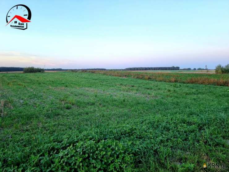 Czas Nieruchomości, Działki  na sprzedaż, Dzierzążno, ul. 