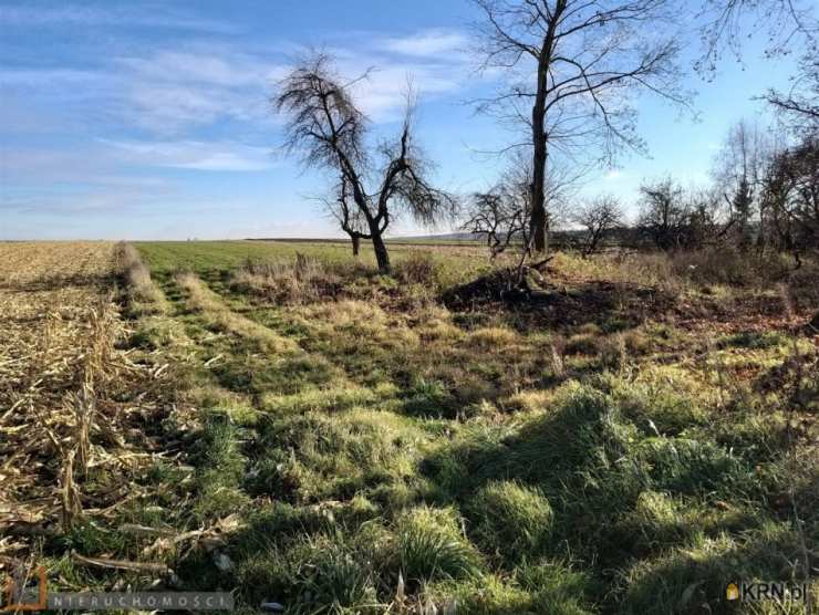 Działki  na sprzedaż, , Przestańsko, ul. 