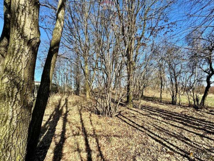 Radlin, ul. , Działki  na sprzedaż, 