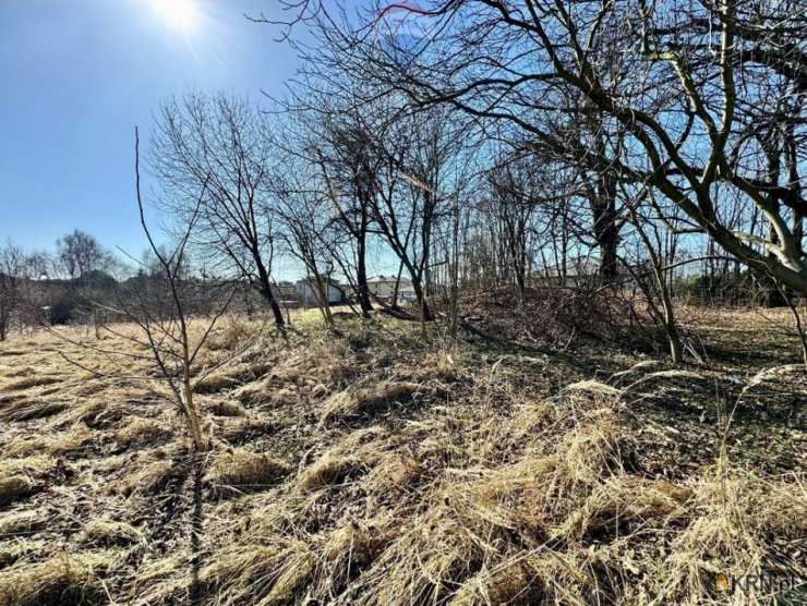 Radlin, ul. , , Działki  na sprzedaż