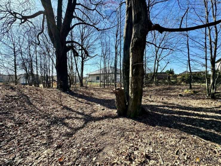 , Działki  na sprzedaż, Radlin, ul. 