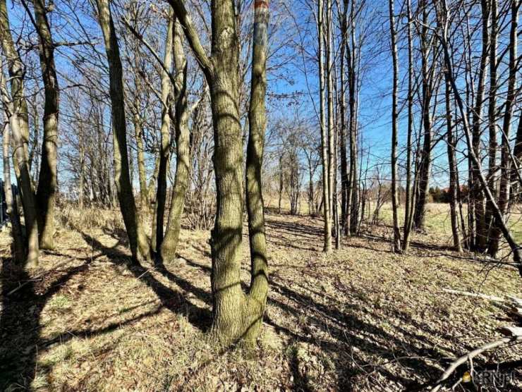 RE/MAX Polska, Działki  na sprzedaż, Radlin, ul. 