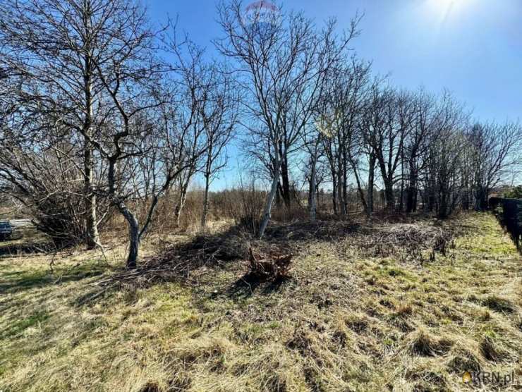 Działki  na sprzedaż, Radlin, ul. , 