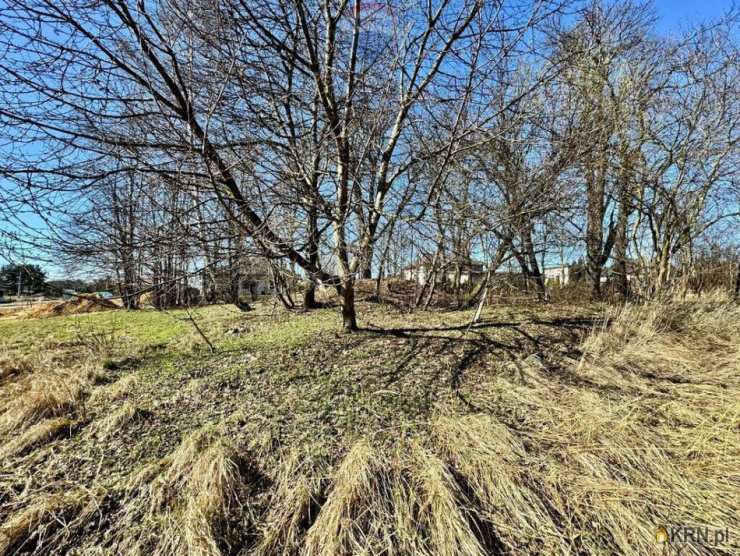 Działki  na sprzedaż, , Radlin, ul. 