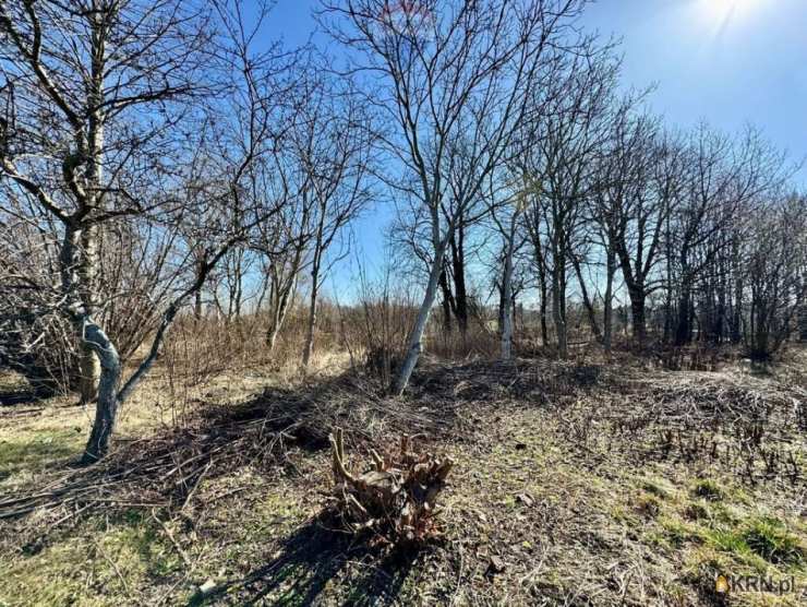 , Radlin, ul. , Działki  na sprzedaż