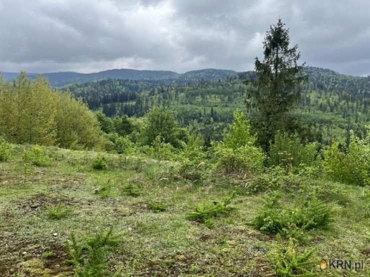 Nieruchomości BETA-KOL Beata Zwolińska-Włosok, Działki  na sprzedaż, Wisła, ul. 