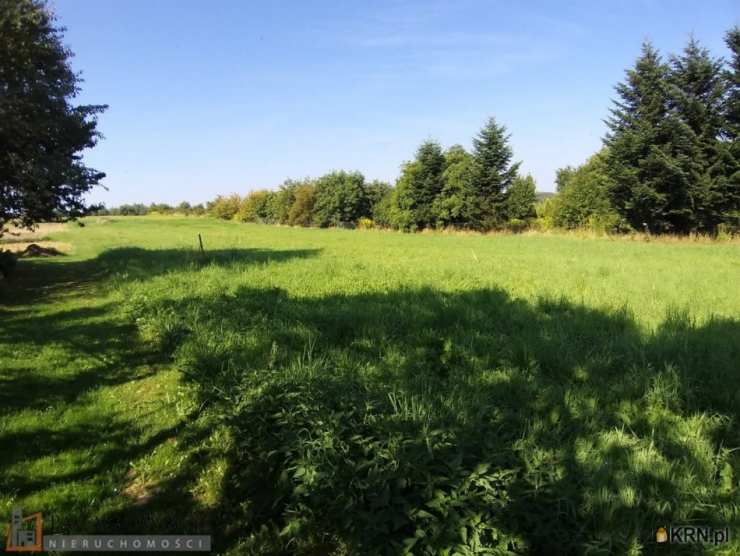 Bębło, ul. , , Działki  do wynajęcia