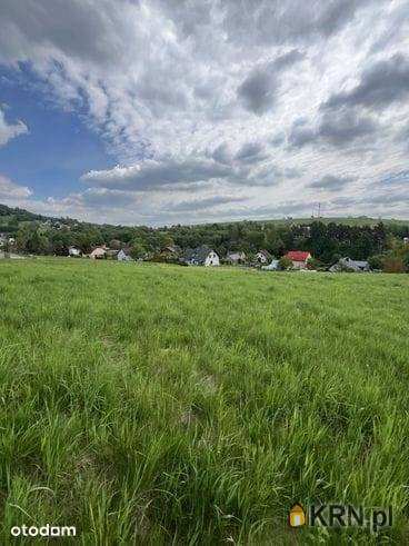 Działki  na sprzedaż, Kocierz Rychwałdzki, ul. , 