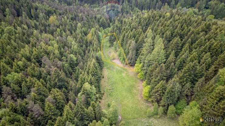 Działki  na sprzedaż, Krzeszów, ul. , 