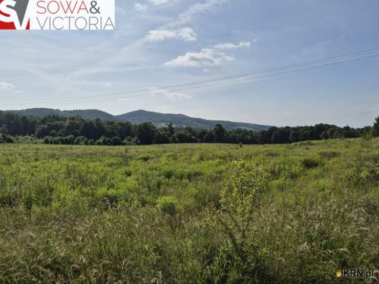 Działki  na sprzedaż, , Dziećmorowice, ul. 