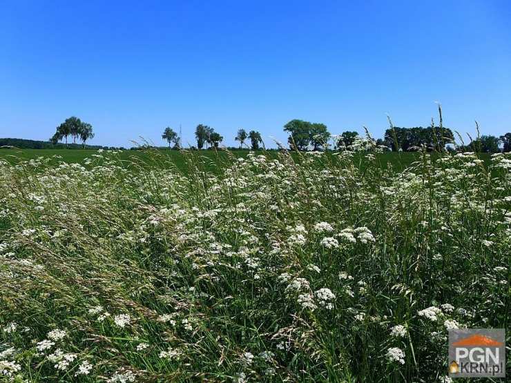 , Gryfice, ul. , Działki  na sprzedaż