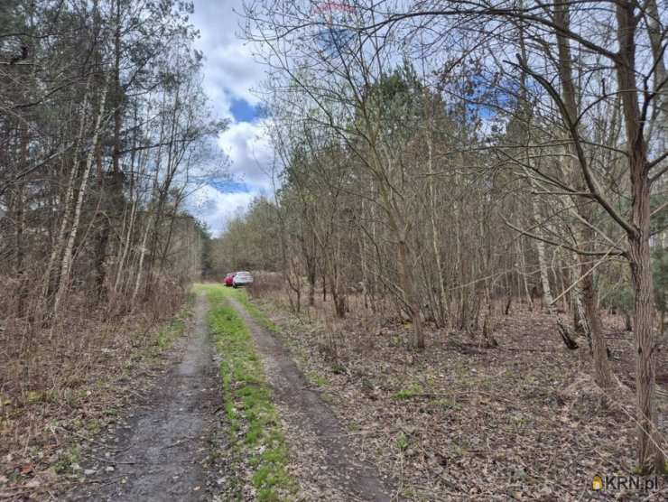Kuklówka Radziejowicka, ul. , , Działki  na sprzedaż