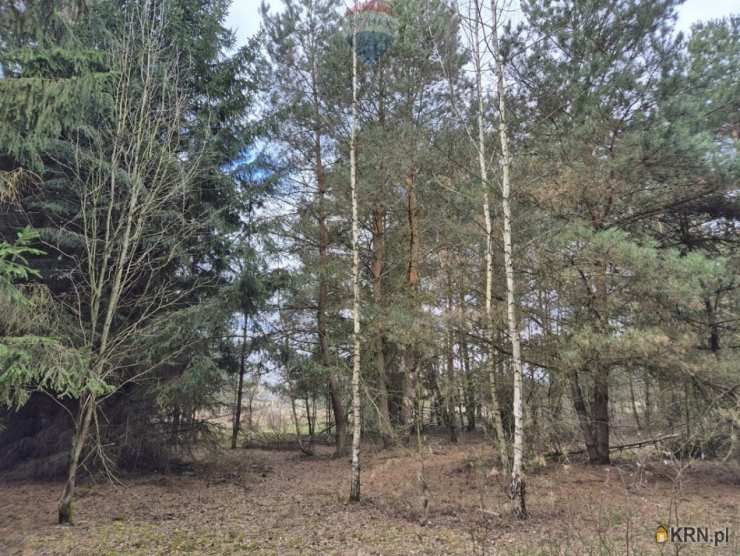 , Kuklówka Radziejowicka, ul. , Działki  na sprzedaż