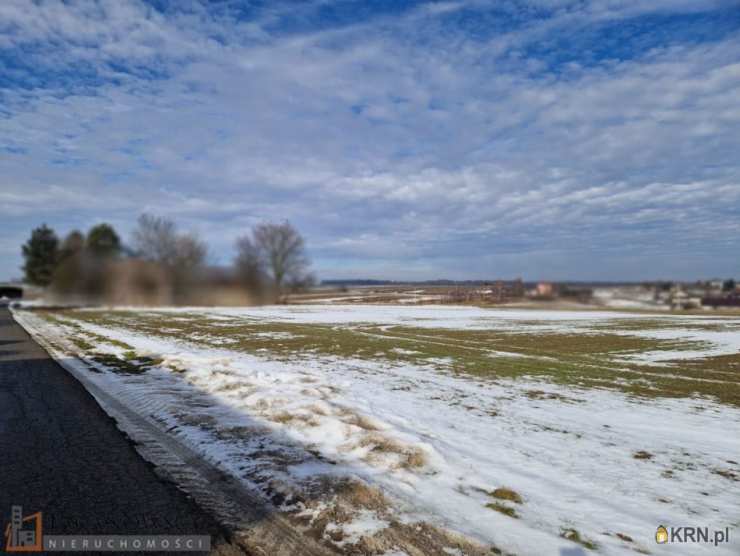 Mogilany, Celiny, ul. , Działki  na sprzedaż, 