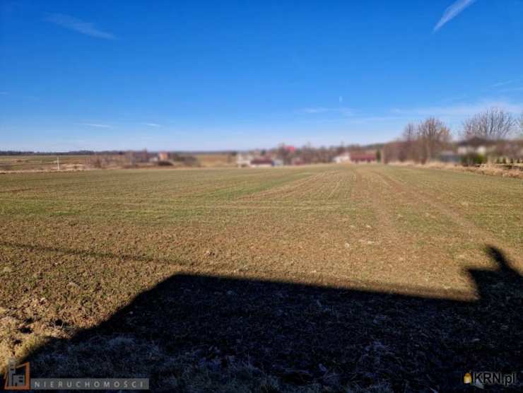 Mogilany, Celiny, ul. , Działki  na sprzedaż, 