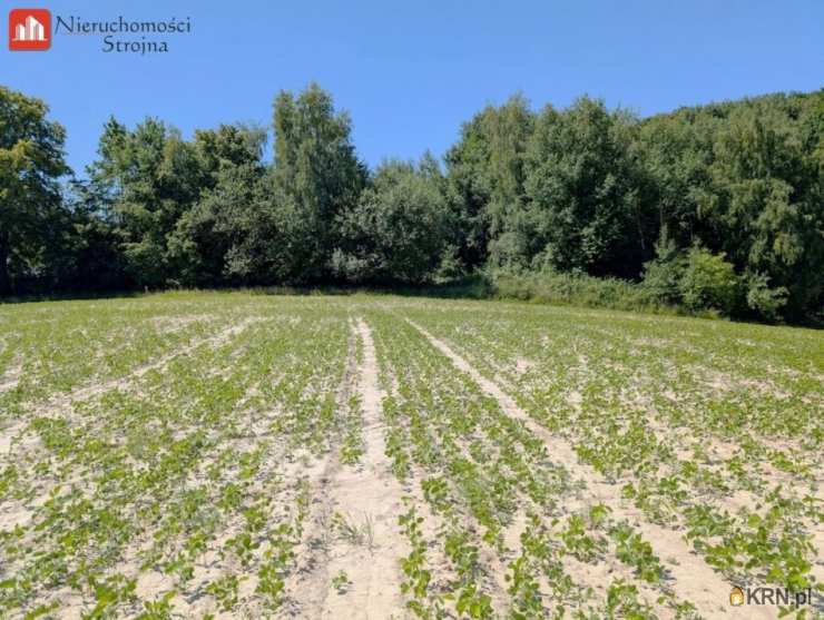 , Działki  na sprzedaż, Wieliczka, ul. 