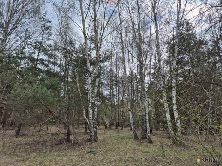 Kuklówka Radziejowicka, ul. , , Działki  na sprzedaż