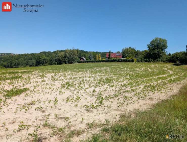 Nieruchomości Strojna, Działki  na sprzedaż, Dobranowice, ul. 