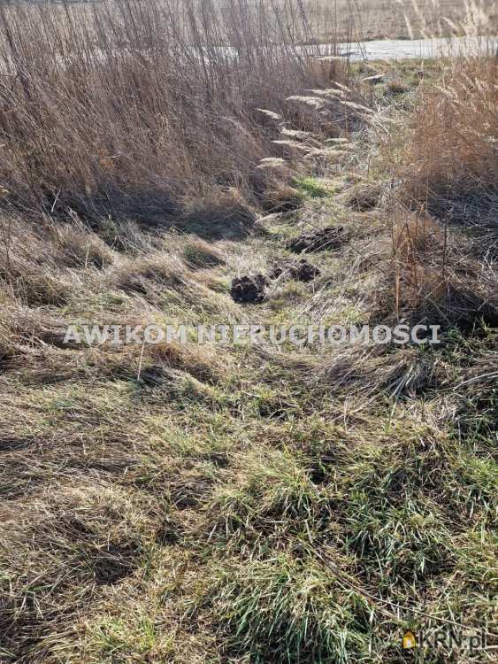 Działki  na sprzedaż, , Jaktorów, ul. 