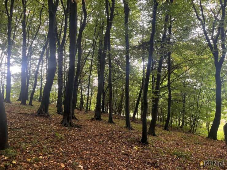 , Ustroń, ul. Leśna, Działki  na sprzedaż