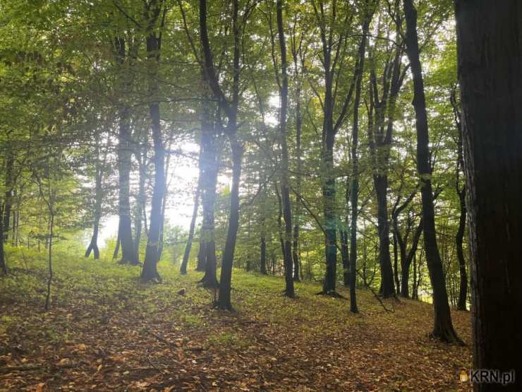 , Działki  na sprzedaż, Ustroń, ul. Leśna