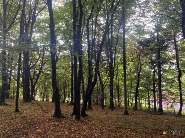 Nieruchomości BETA-KOL Beata Zwolińska-Włosok, Działki  na sprzedaż, Ustroń, ul. Leśna