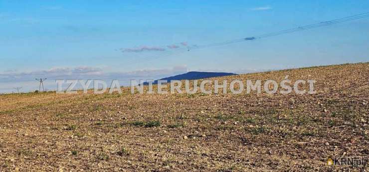 Działki  na sprzedaż, Panków, ul. , 