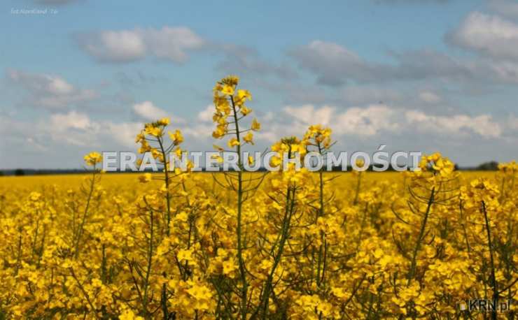 Działki  na sprzedaż, Henrykowo, ul. , 