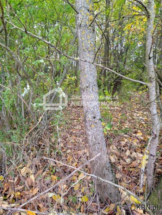 Sieciowa Agencja Nieruchomości Grupa Renoma, Działki  na sprzedaż, Gdańsk, Kokoszki, ul. 