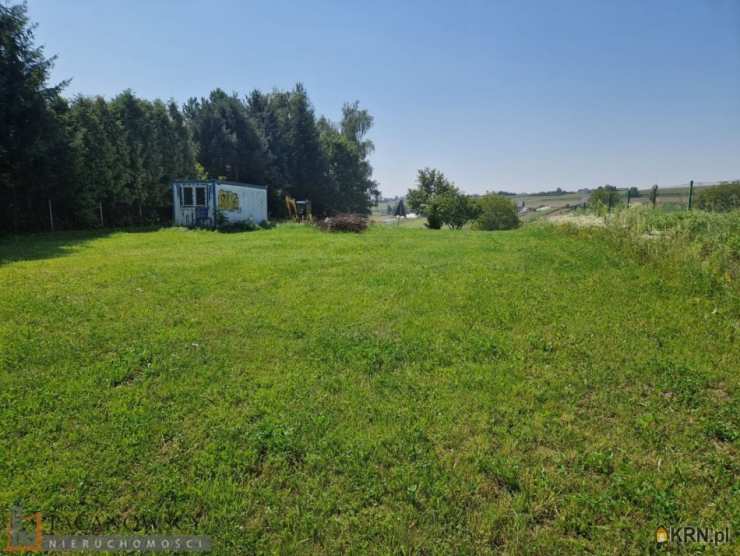 Działki  na sprzedaż, Pietrzejowice, ul. , 